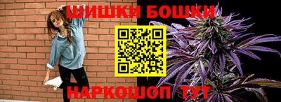 твердый Кингисепп