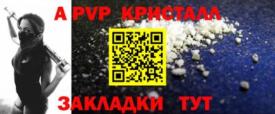 твердый Кингисепп