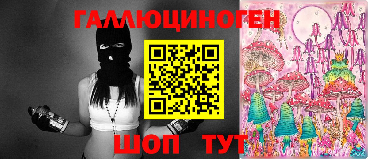 Галлюциногенные грибы Psilocybe  Вход с VPN  дарнет шоп  Комсомольск-на-Амуре 